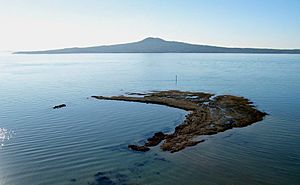 Archivo:Rangitoto from Achilles Point