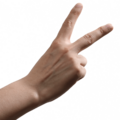 Rock-paper-scissors (scissors)