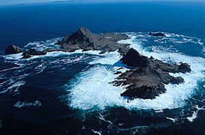 Archivo:SE Farallon Island