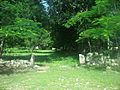 Sac Nicté (Umán), Yucatán (01)