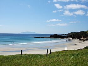 Tawharanui.jpg