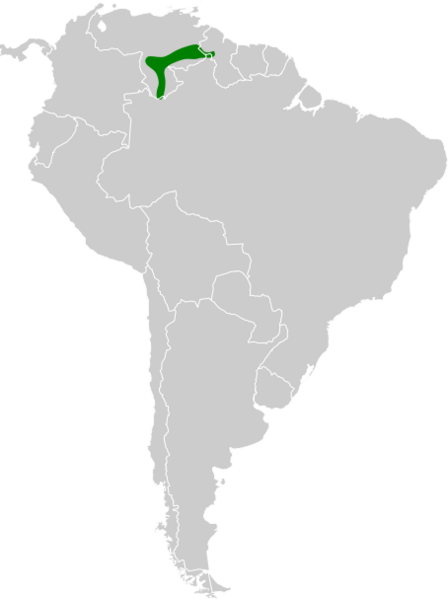Thamnophilus insignis map