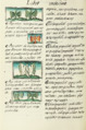 The Florentine Codex- Butterflies