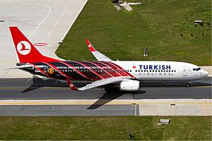 Archivo:Turkish Airlines Boeing 737-800 ManU Karakas