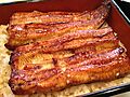 Unagi1