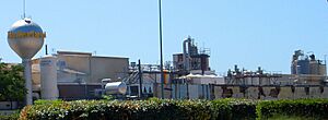Archivo:Viladecans - Nederland S.A
