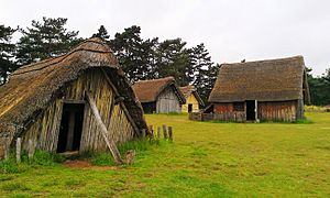 Archivo:West Stow Anglo-Saxon village 2