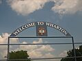 Wharton, TX, sign IMG 1048
