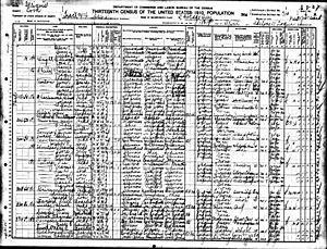 1910 Census detail-Calistus Mulvaney.jpg