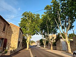 20230709 - Villedaigne - Route de Canet - 2.jpg