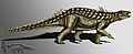 Acanthopholis copia