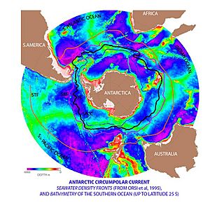 Archivo:Antarctic Circumpolar Current