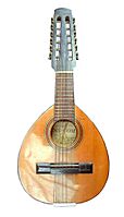 Bandurria1 wbg.jpg