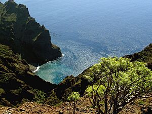 Archivo:Bay near masca