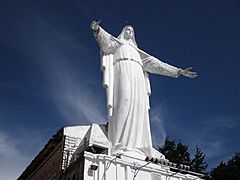 Bog - Virgen de Guadalupe