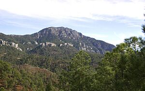 Archivo:CERRO DE MOHINORA