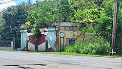 Carretera PR-1, Caguas, Puerto Rico (3).jpg