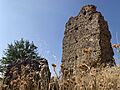Castillo de Pozaldez 1