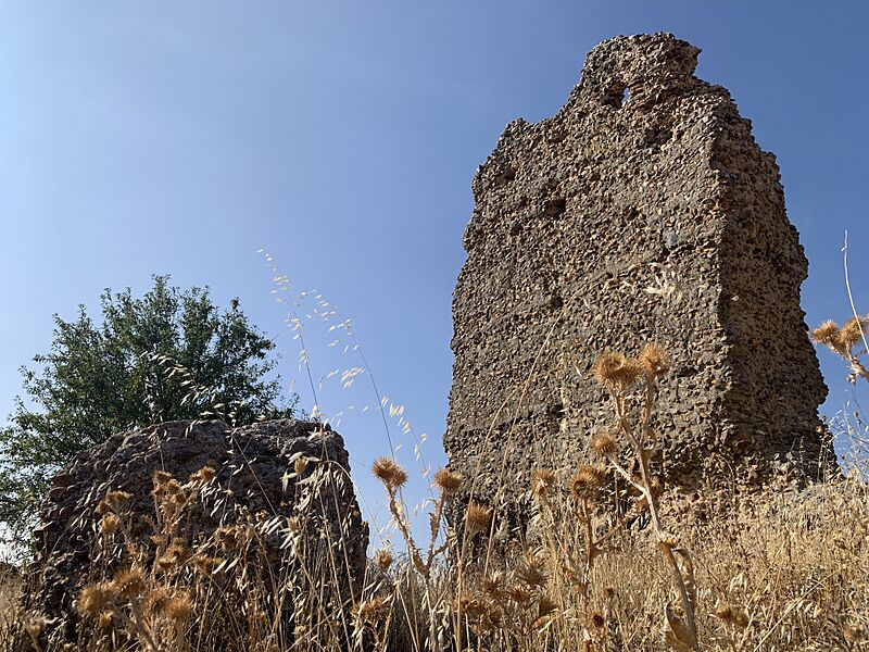Castillo de Pozaldez 1