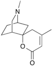 Chemical structure of dioscorine.png
