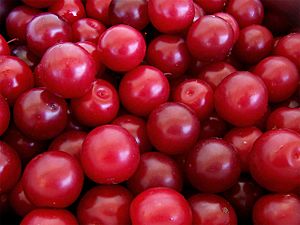 Archivo:Cherry plums