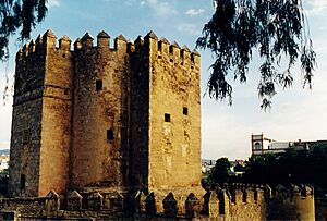 Archivo:Cordoue - Tour de la Calahorra 2