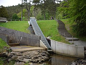 Archivo:Cragside Archimedes' screw from bottom