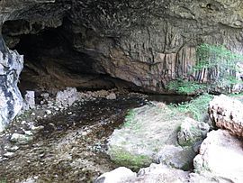 Archivo:Cueva del Agua, Poyotello 24J 01