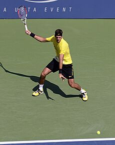Archivo:Delpo back swing - Flickr - chascow