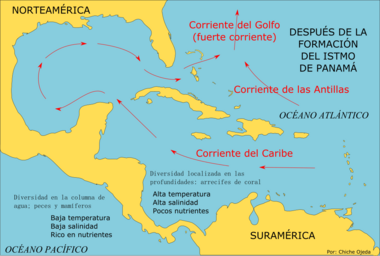 Archivo:Después de la formación del istmo de Panamá