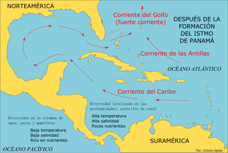 Después de la formación del istmo de Panamá