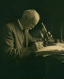 Edmund Beecher Wilson between about 1885 and 1891.jpg