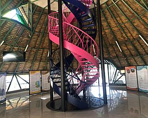 Archivo:Escalera doble helicoidal Parque Nal. Tortuguero