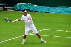 Archivo:Fabio Fognini - Wimbledon 2013 02