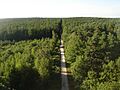 Forêt d'Orléans depuis Les Caillettes 01