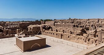 Fortaleza de Bam, Irán, 2016-09-23, DD 25