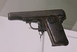 Archivo:Gabrillo Princip's pistol (3444725633)