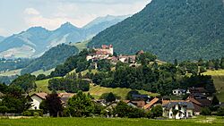 Gruyères et sa cité médiévale.jpg
