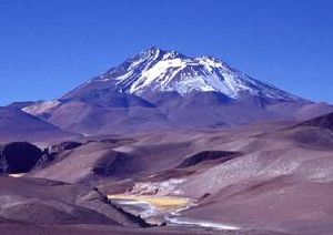 Archivo:Habitat du Chinchilla brevicaudata - Lllullaillaco