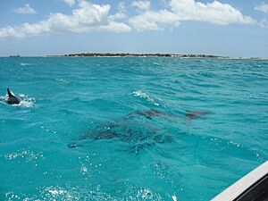 Archivo:Kiribati(081)