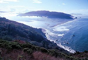Archivo:Klamath river estuary