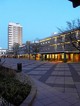 Lancaster University Courtyard.JPG