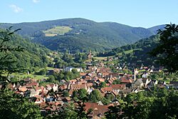 Metzeral (vue générale).JPG