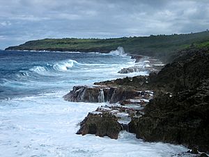 Archivo:Niue Coastline