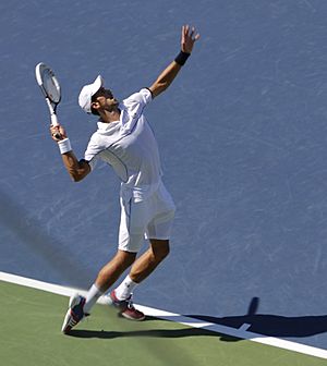 Archivo:Nole - Flickr - chascow