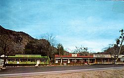Oak Tree Village Glen (Oak Glen, CA) 1950s-60s Postcard.jpg