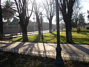 Archivo:Plaza Olivar