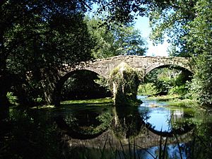 Archivo:Puente Lubians