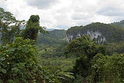 Archivo:Puerto Princesa Subterranean Park, limestone rock formations and tropical trees, central Palawan, Philippines