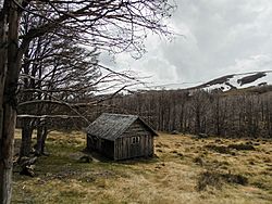 Archivo:Refugio Volcán Puyehue Parque Nacional Puyehue 50